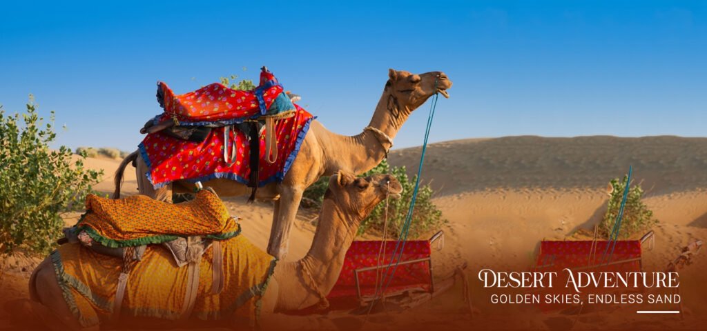 Camel Safari in Jaisalmer