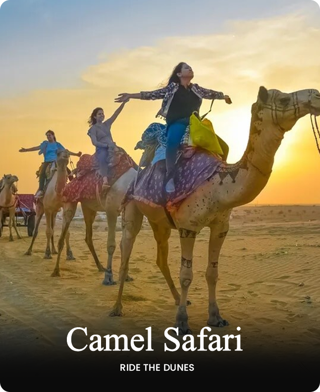 camel r