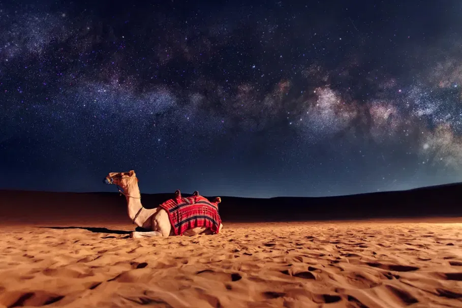 Jaisalmer Desert Adventure